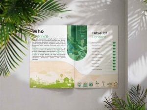 Affordable Company Profile Designers in Kenya isio Solution