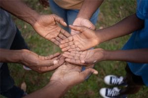 NGO Website Designers in Kenya