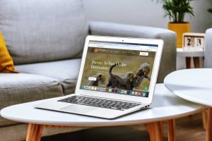 Tours and Travel Website Design in Kenya